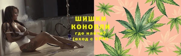 амф Белокуриха