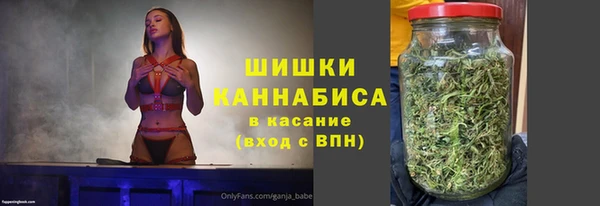 индика Белоозёрский