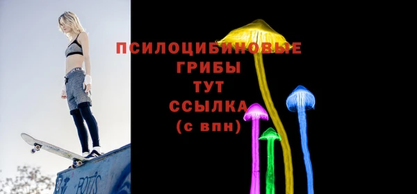 амф Белокуриха
