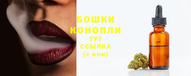 индика Белоозёрский