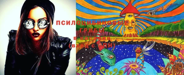 амф Белокуриха