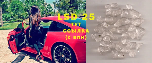 индика Белоозёрский