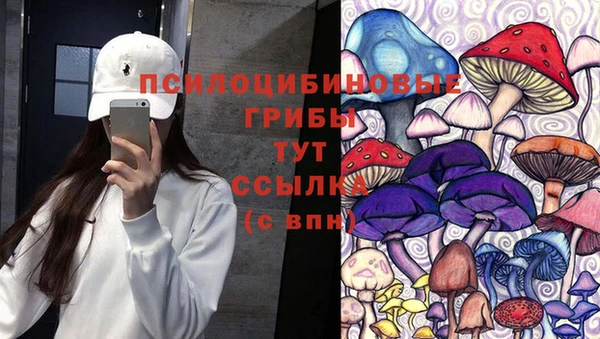 амф Белокуриха