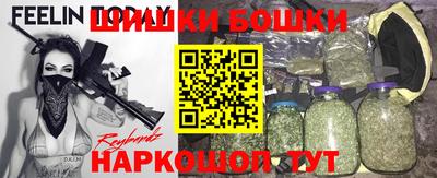 jwh Бийск