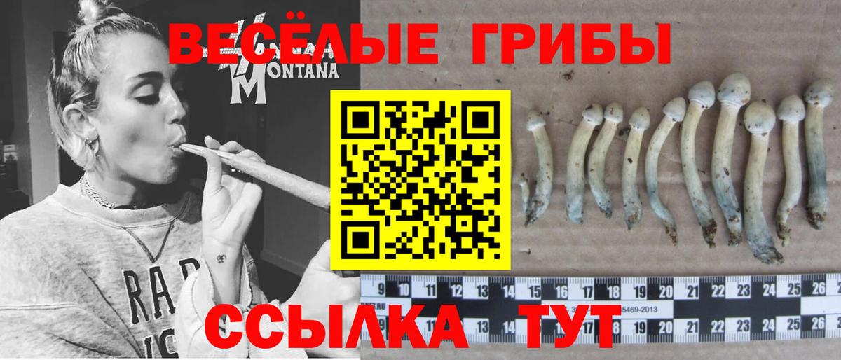 Галлюциногенные грибы мицелий Видное